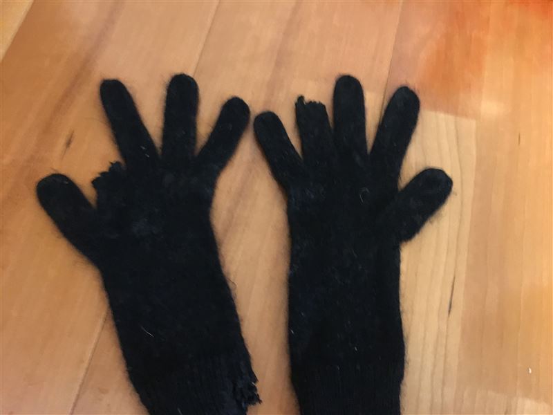 猫が誤飲して毎日うんちを調べました 猫が誤飲して毎日うんちを調べました