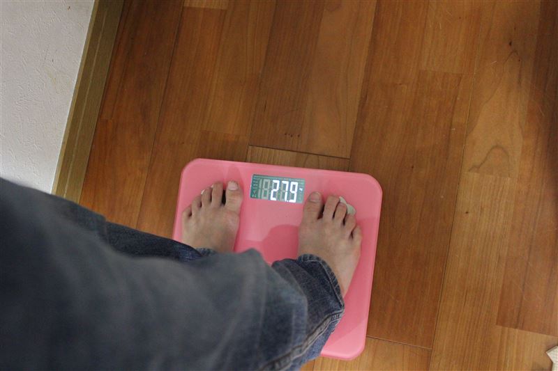 猫,体重,測り方