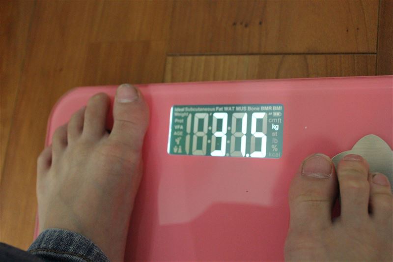 猫,体重,測り方