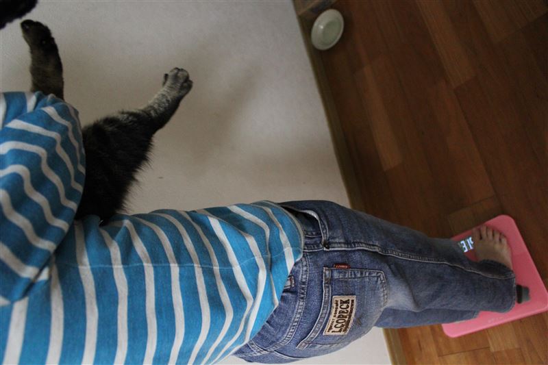 猫,体重,測り方